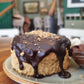 Biscuit & Brew Luxury Scone Box